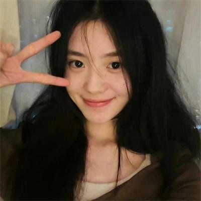 科搜研之女第24季